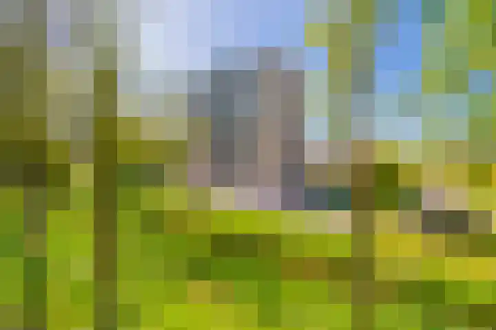 Hermelijnvlinder 179 Diemen thumbnail 38