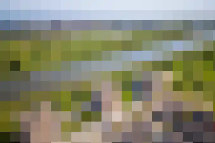 Hermelijnvlinder 179 Diemen thumbnail 39