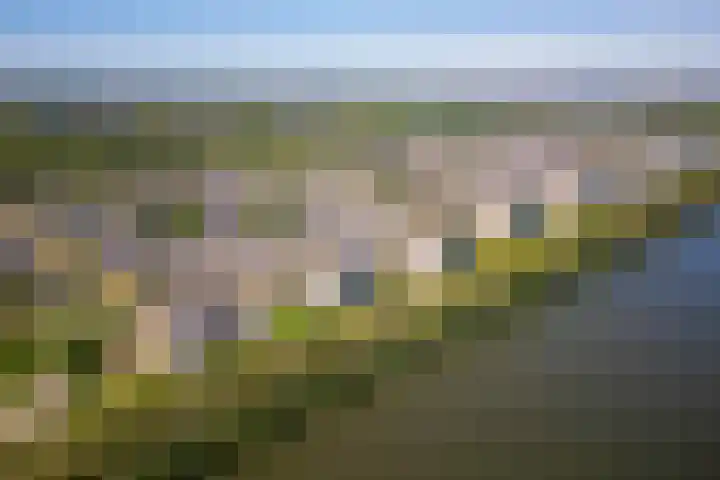 Hermelijnvlinder 179 Diemen thumbnail 40