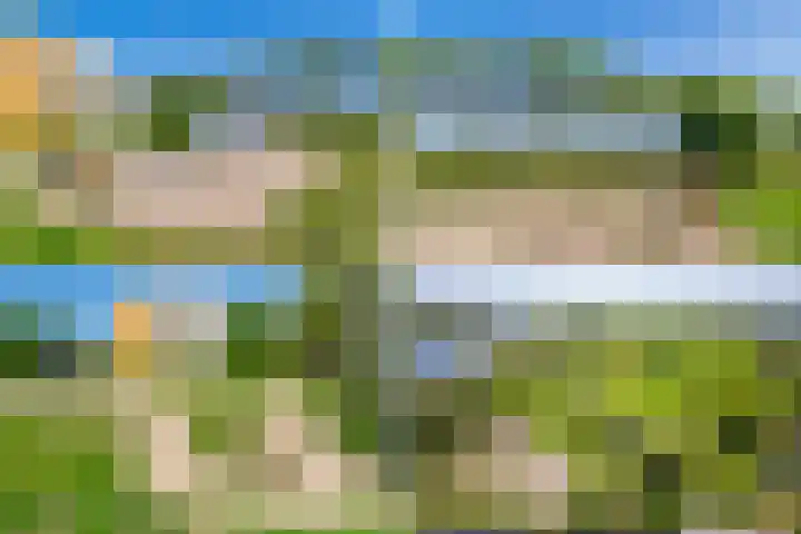 Hermelijnvlinder 179 Diemen thumbnail 41