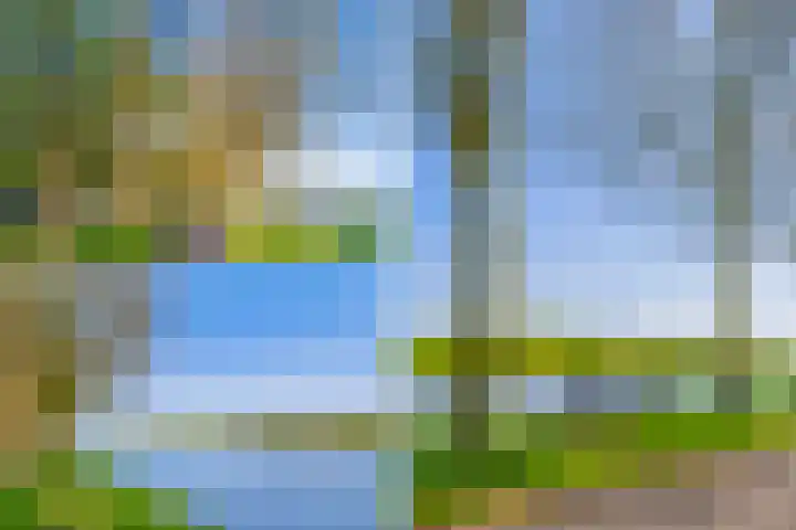 Hermelijnvlinder 179 Diemen thumbnail 42