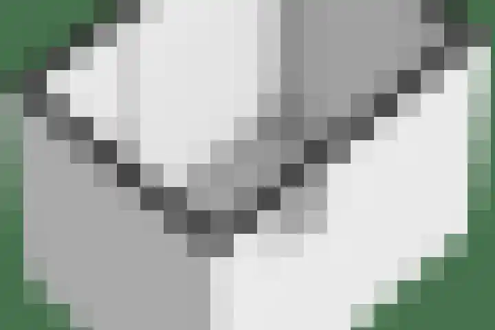 Hermelijnvlinder 179 Diemen thumbnail 44