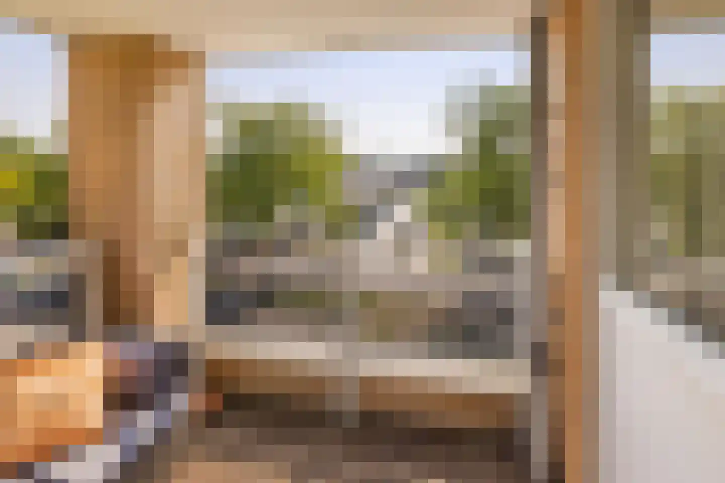 Hermelijnvlinder 195 Diemen thumbnail 19