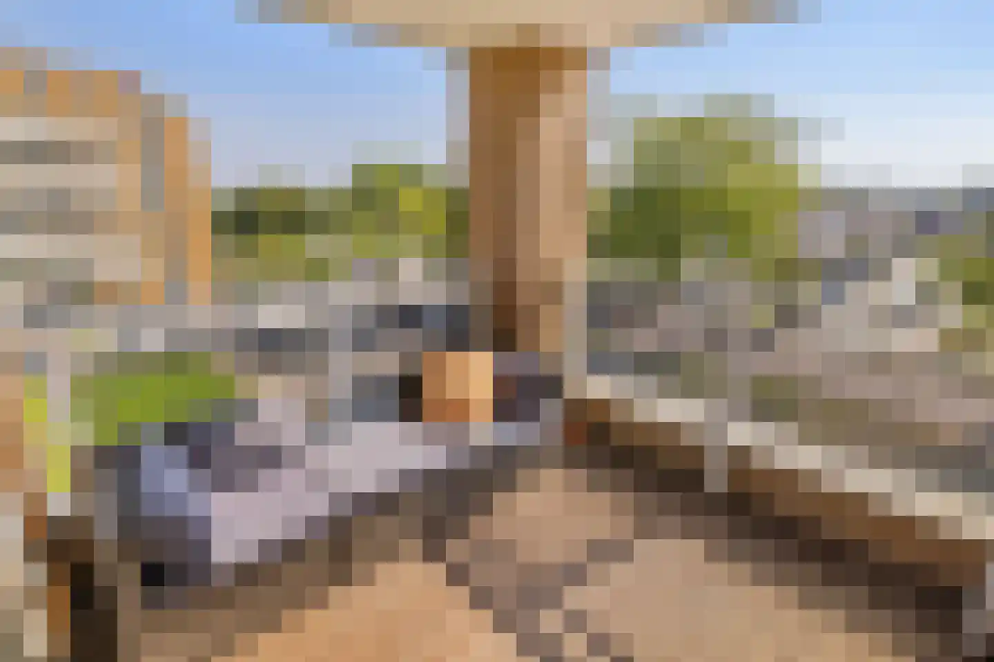 Hermelijnvlinder 195 Diemen thumbnail 20