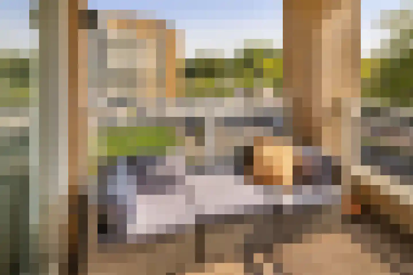Hermelijnvlinder 195 Diemen thumbnail 21