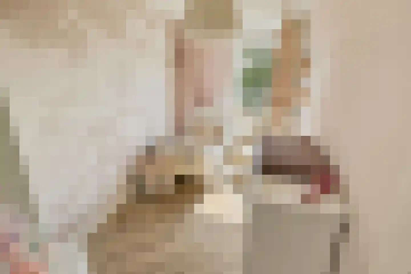 Hermelijnvlinder 195 Diemen thumbnail 34