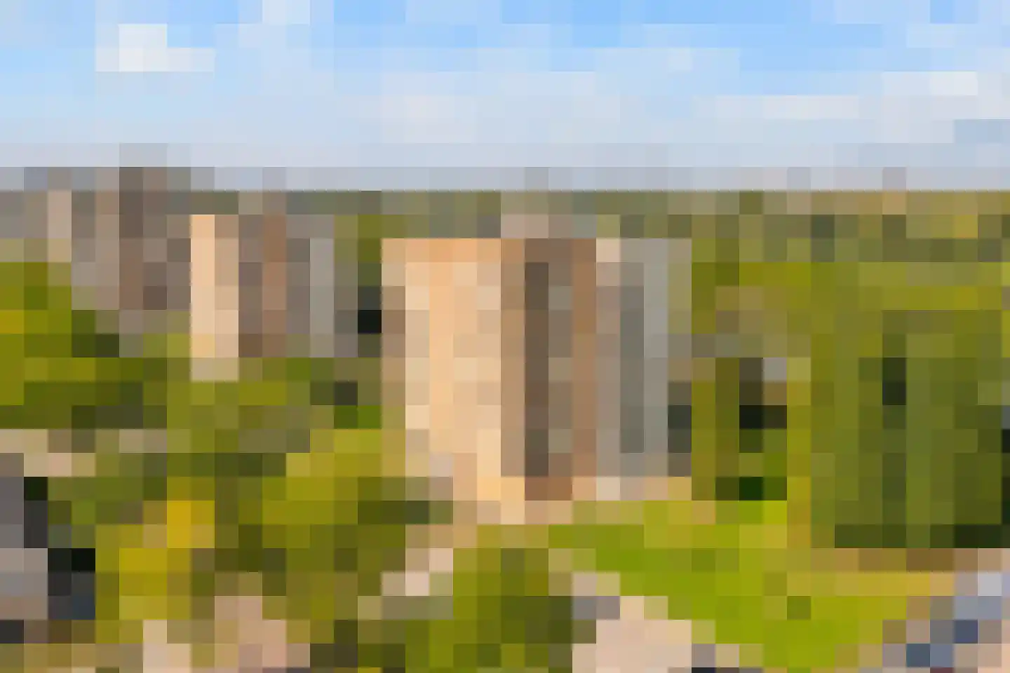 Hermelijnvlinder 195 Diemen thumbnail 49