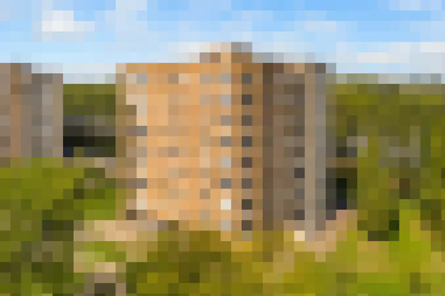 Hermelijnvlinder 195 Diemen thumbnail 50