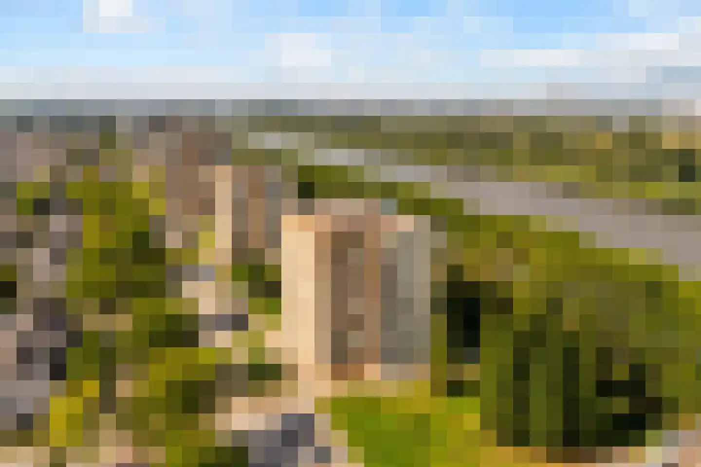 Hermelijnvlinder 195 Diemen thumbnail 51