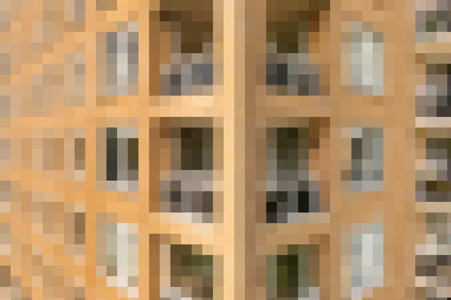 Hermelijnvlinder 195 Diemen thumbnail 52