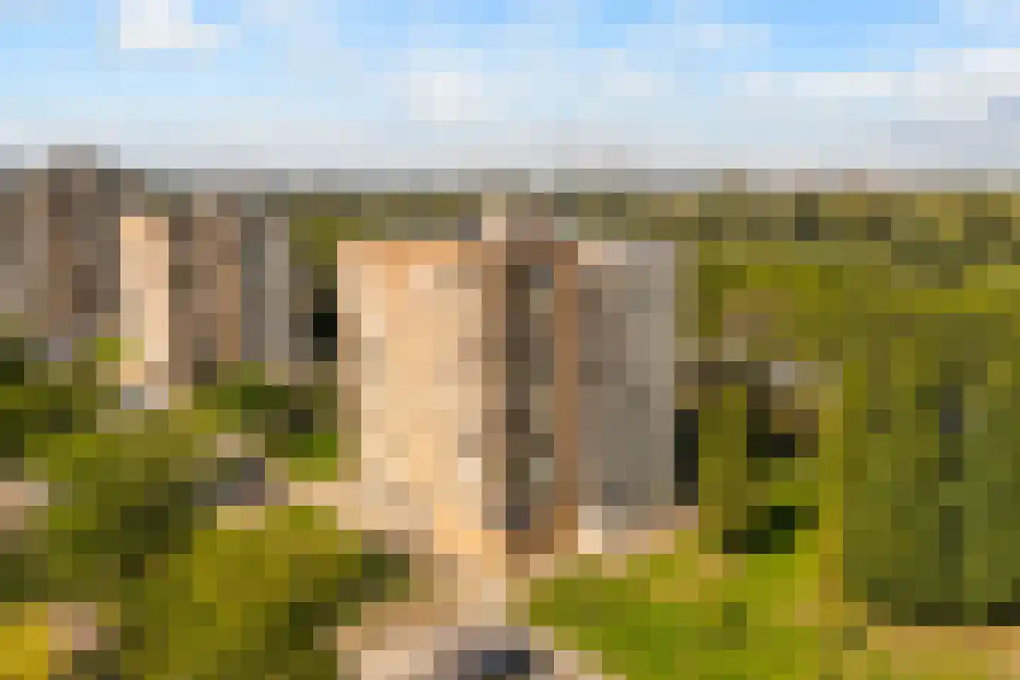 Hermelijnvlinder 195 Diemen thumbnail 53