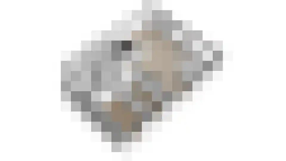 Hermelijnvlinder 195 Diemen thumbnail 57
