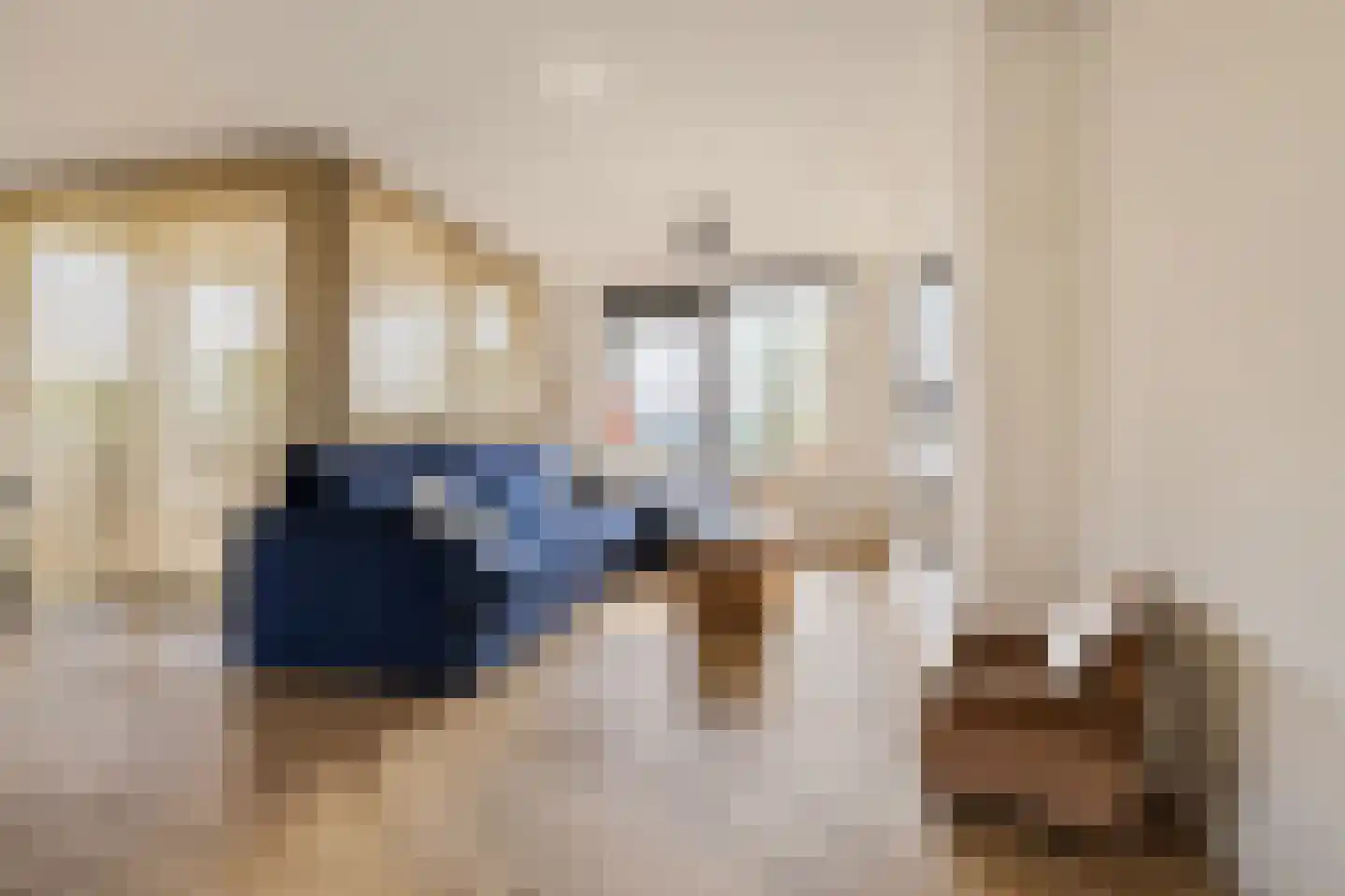 Hermelijnvlinder 195 Diemen thumbnail 8