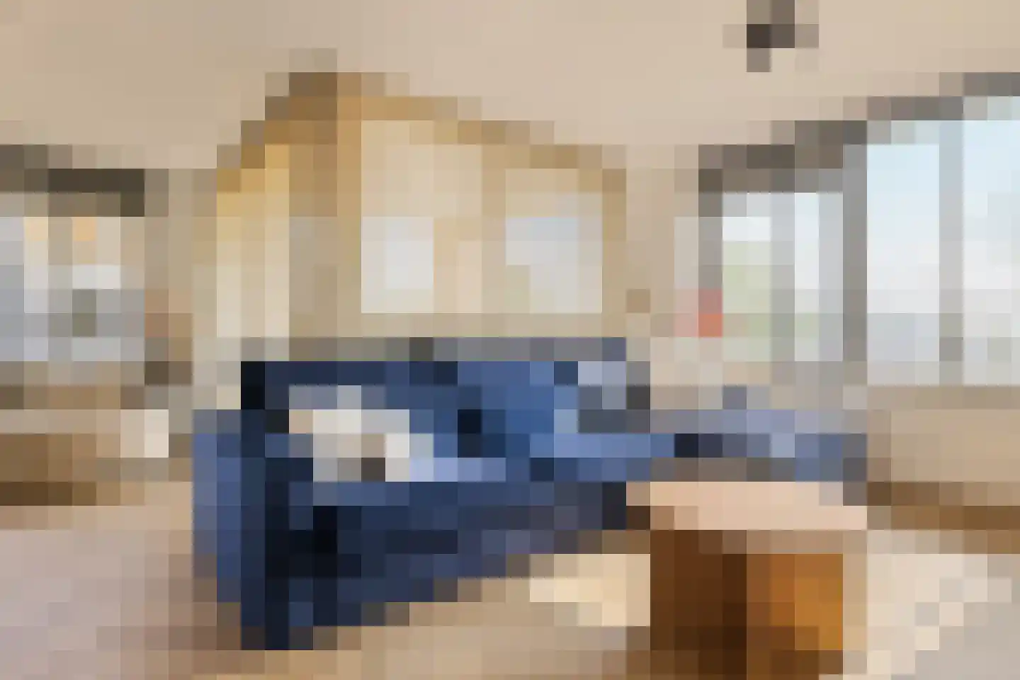 Hermelijnvlinder 195 Diemen thumbnail 9