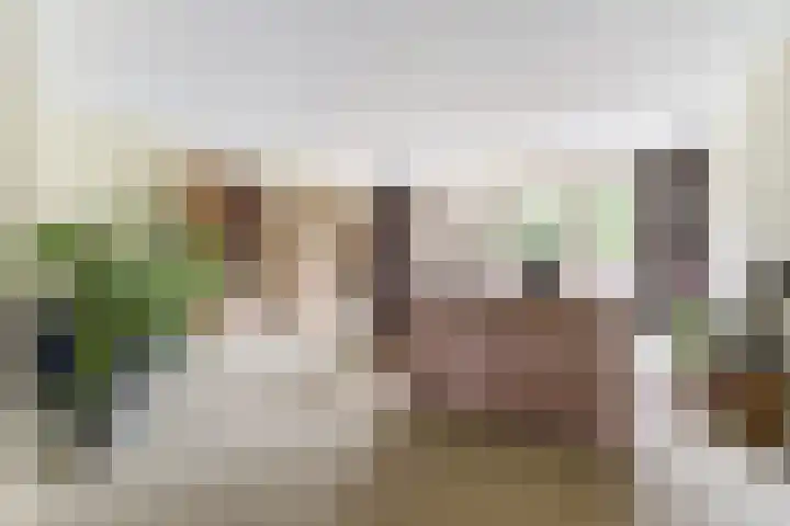 Hermelijnvlinder 31 Oosterhout thumbnail 11