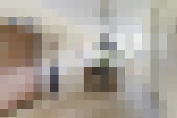 Hermelijnvlinder 31 Oosterhout thumbnail 17