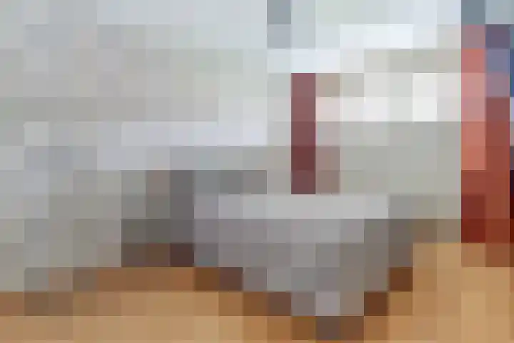 Hermelijnvlinder 31 Oosterhout thumbnail 23