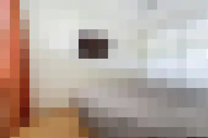 Hermelijnvlinder 31 Oosterhout thumbnail 24