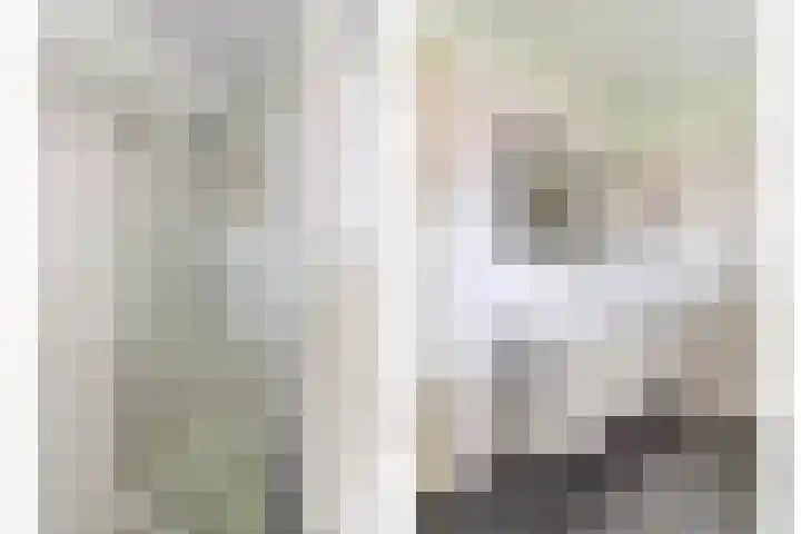 Hermelijnvlinder 31 Oosterhout thumbnail 29