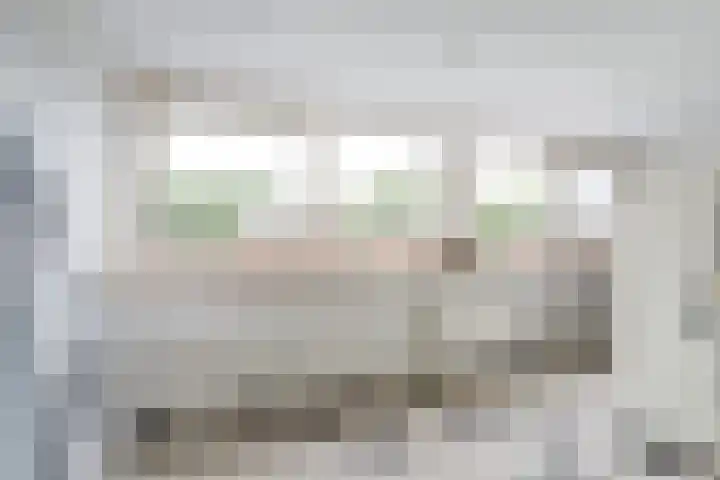 Hermelijnvlinder 31 Oosterhout thumbnail 33