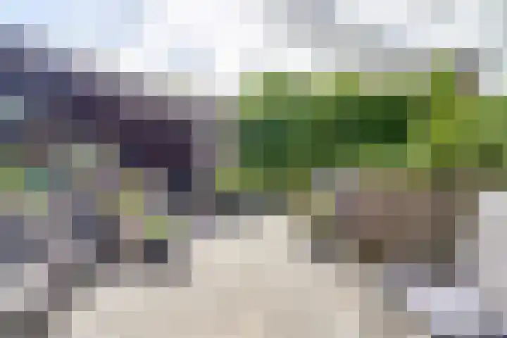 Hermelijnvlinder 31 Oosterhout thumbnail 37