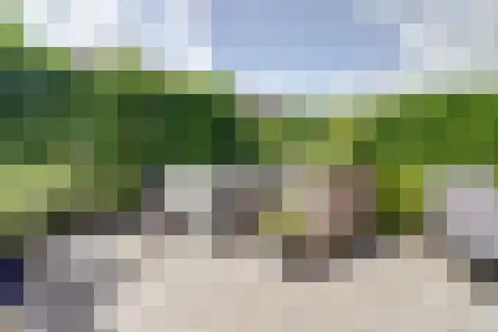 Hermelijnvlinder 31 Oosterhout thumbnail 38
