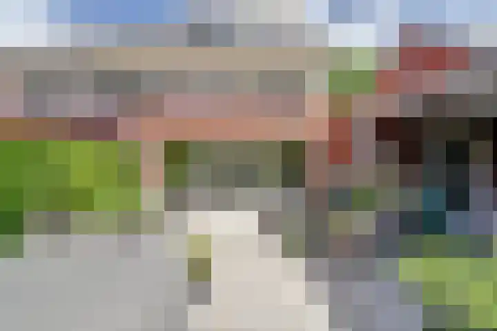 Hermelijnvlinder 31 Oosterhout thumbnail 39
