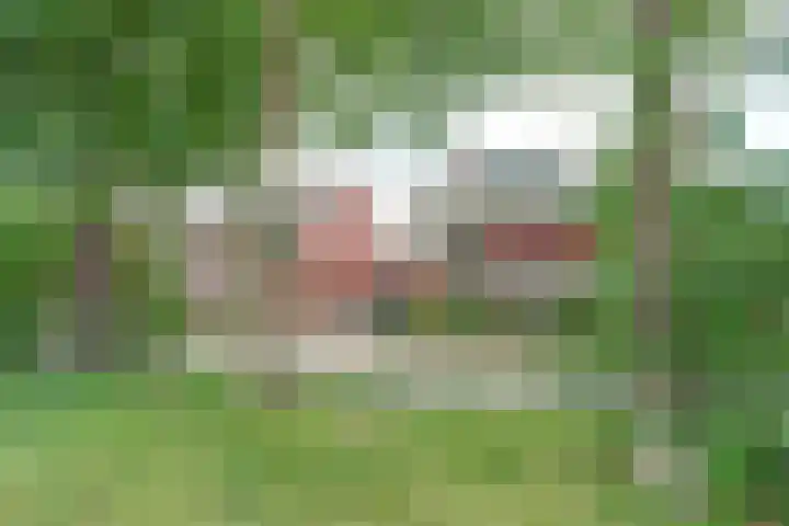 Hermelijnvlinder 31 Oosterhout thumbnail 4