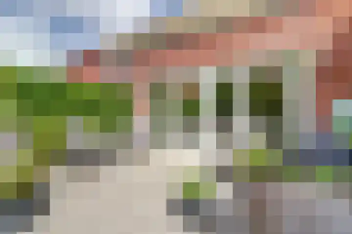 Hermelijnvlinder 31 Oosterhout thumbnail 40