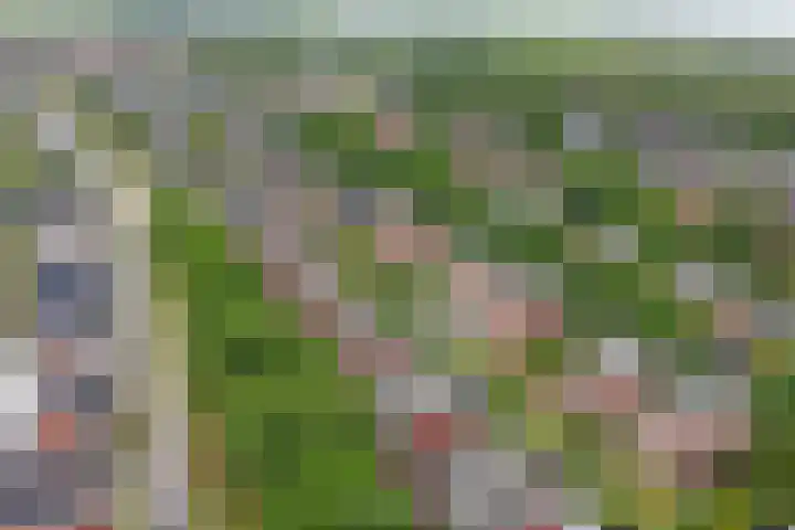 Hermelijnvlinder 31 Oosterhout thumbnail 42