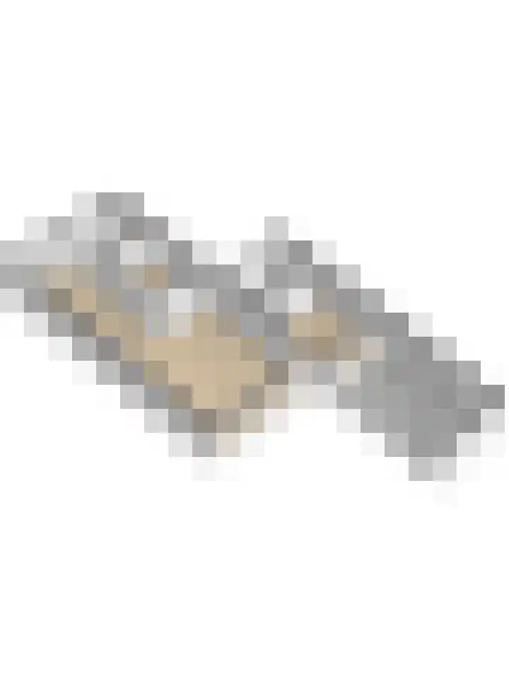 Hermelijnvlinder 31 Oosterhout thumbnail 43