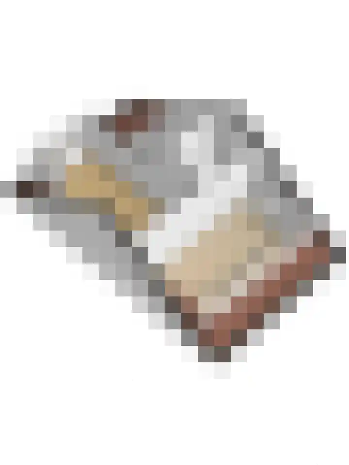 Hermelijnvlinder 31 Oosterhout thumbnail 45