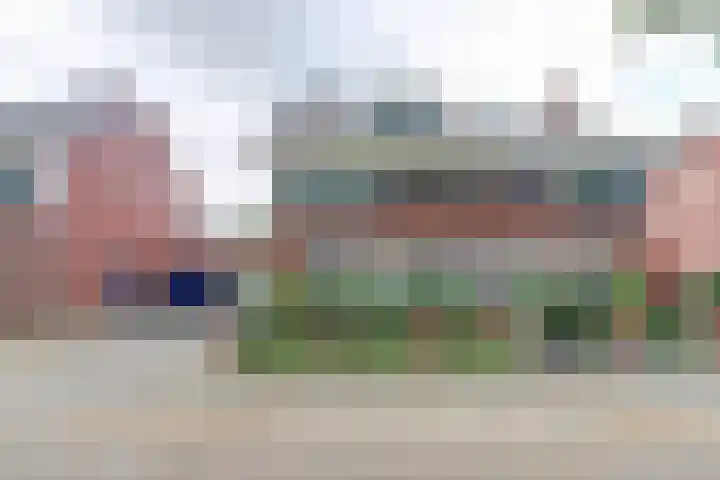 Hermelijnvlinder 31 Oosterhout thumbnail 46