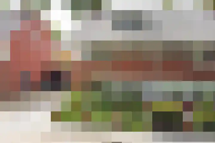 Hermelijnvlinder 31 Oosterhout thumbnail 5