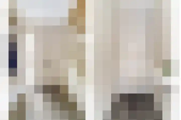Hermelijnvlinder 31 Oosterhout thumbnail 9