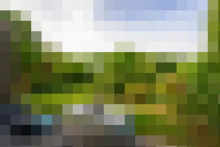 Hermelijnvlinder 36 Leiden thumbnail 14