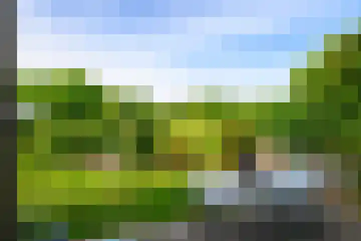 Hermelijnvlinder 36 Leiden thumbnail 15