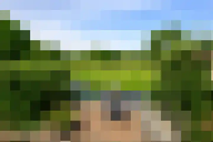 Hermelijnvlinder 36 Leiden thumbnail 17