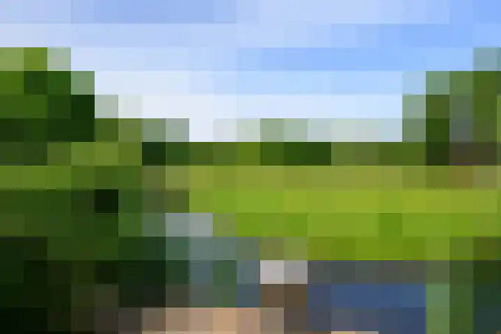 Hermelijnvlinder 36 Leiden thumbnail 18