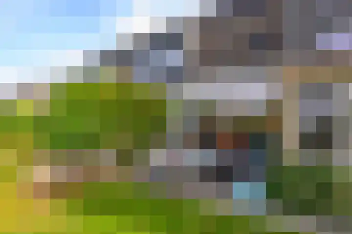Hermelijnvlinder 36 Leiden thumbnail 19