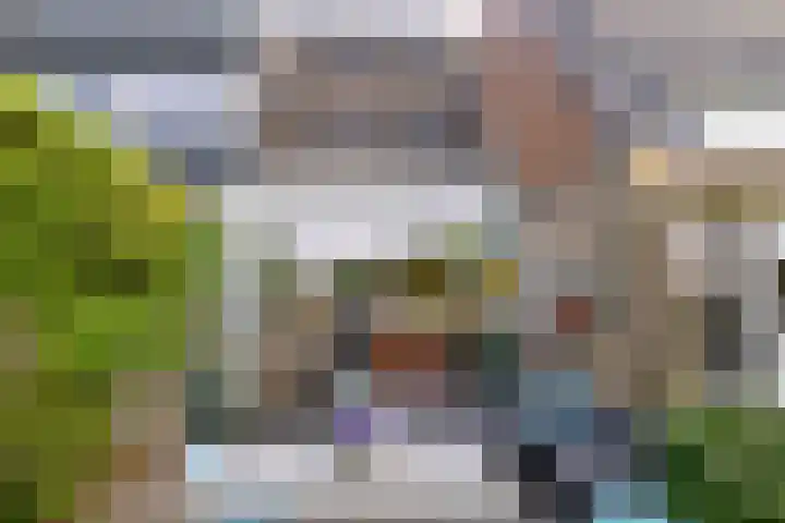 Hermelijnvlinder 36 Leiden thumbnail 20