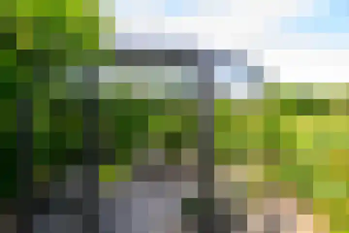 Hermelijnvlinder 36 Leiden thumbnail 21
