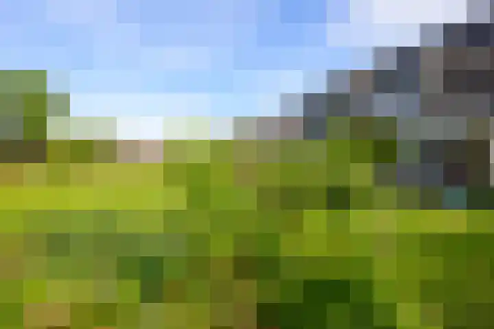 Hermelijnvlinder 36 Leiden thumbnail 23