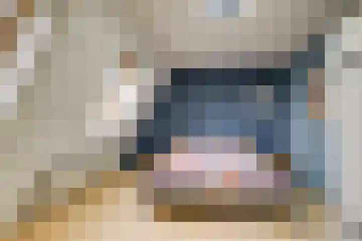 Hermelijnvlinder 36 Leiden thumbnail 28