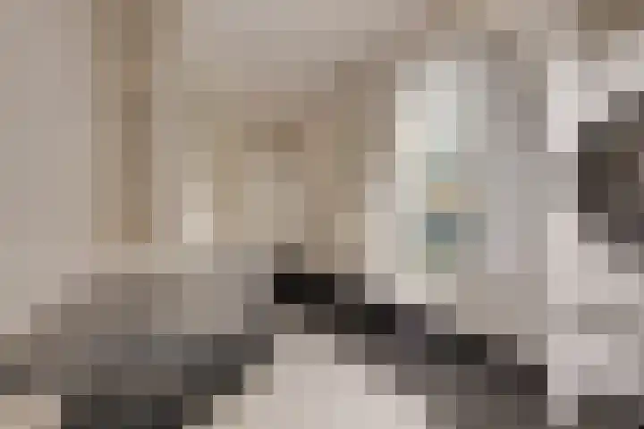 Hermelijnvlinder 36 Leiden thumbnail 31