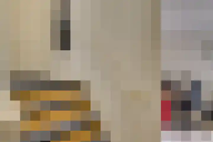 Hermelijnvlinder 36 Leiden thumbnail 33