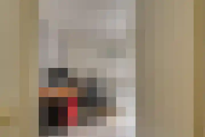 Hermelijnvlinder 36 Leiden thumbnail 34