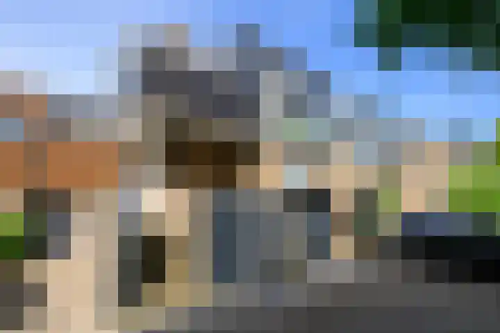 Hermelijnvlinder 36 Leiden thumbnail 4