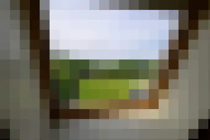 Hermelijnvlinder 36 Leiden thumbnail 41