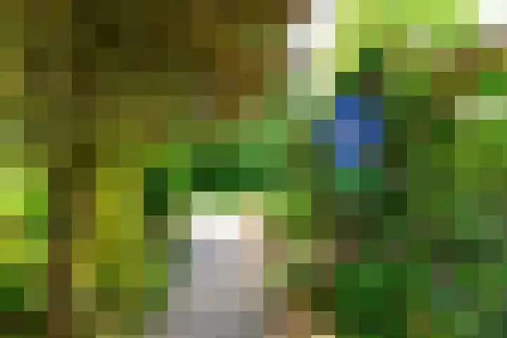 Hermelijnvlinder 36 Leiden thumbnail 43
